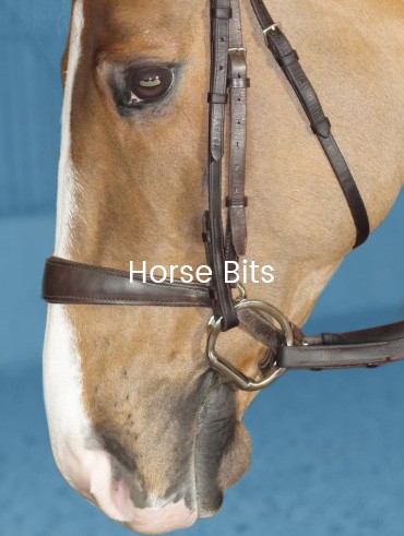 Horse Bits